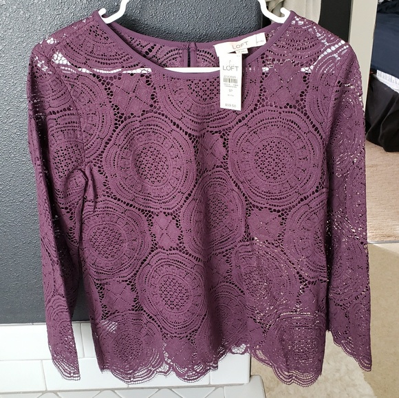 NWT! purple lace top from loft - Picture 1 of 4